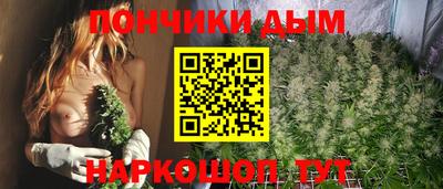 индика Кулебаки