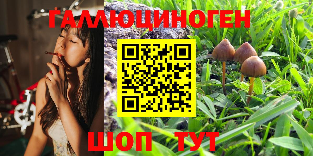 Галлюциногенные грибы Magic Shrooms  Псилоцибиновые грибы GOLDEN TEACHER  Керчь  Вход с VPN 